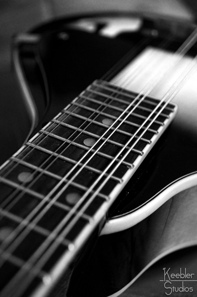 JOHNSON MANDOLIN MA 100