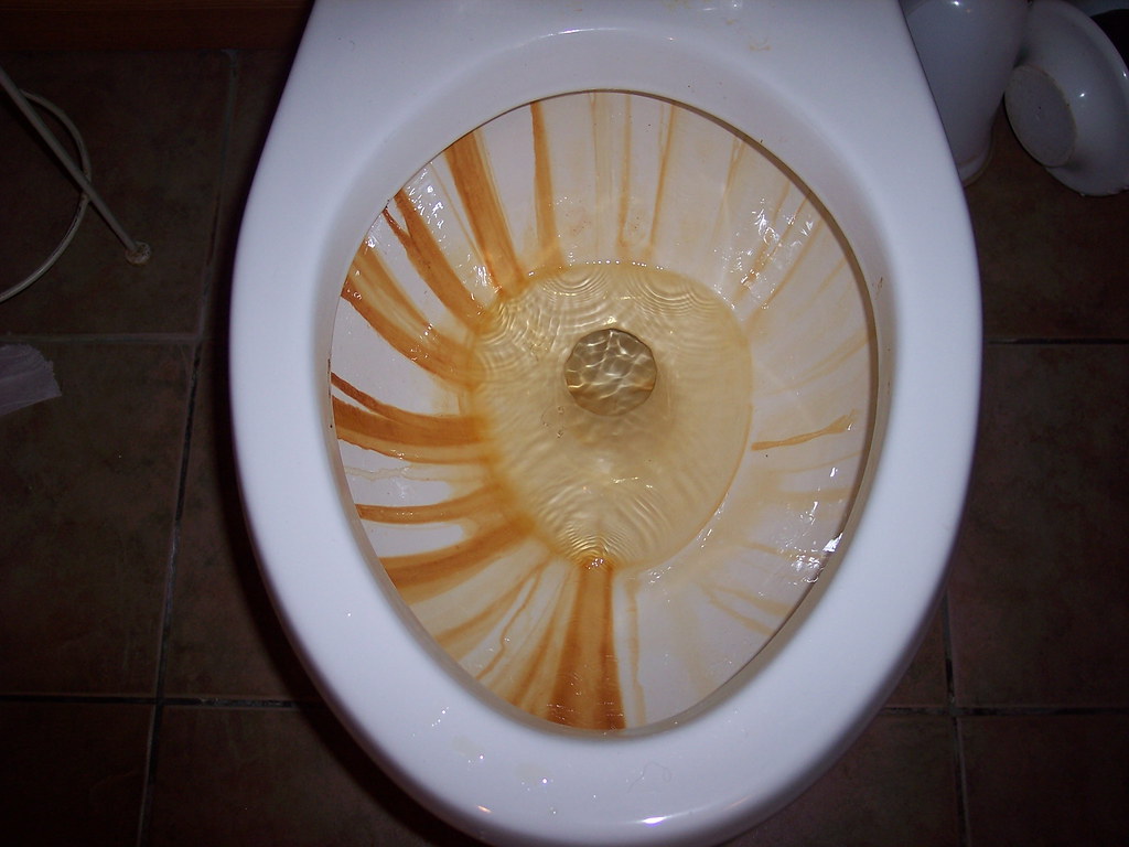 CLEAN HARD WATER STAINS TOILET