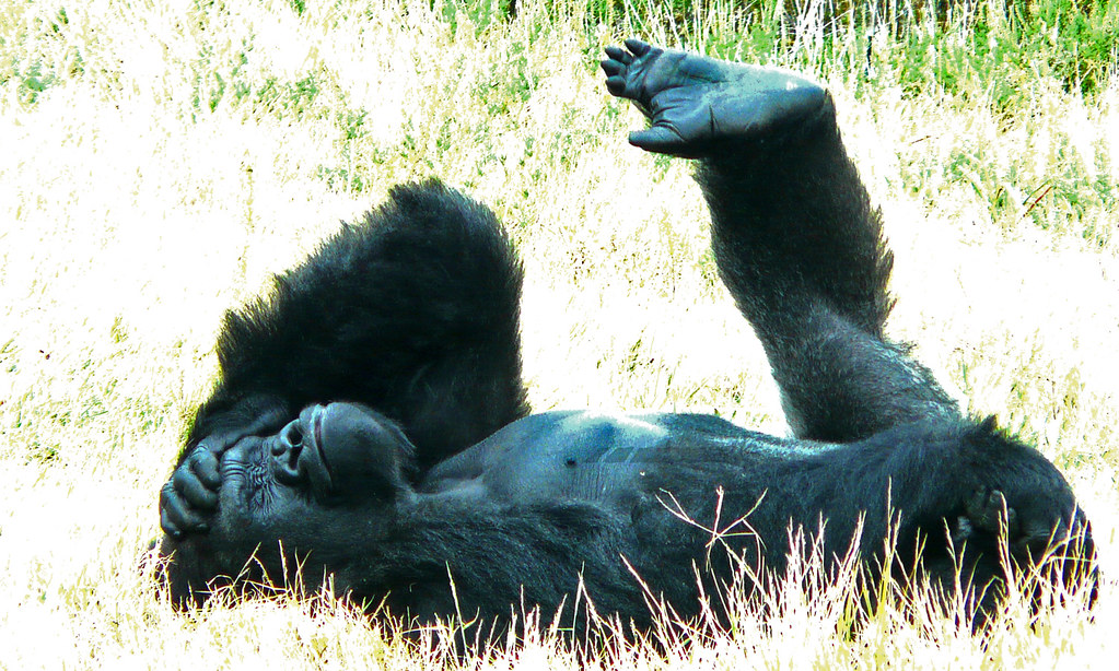 MAYTAG QUIET SERIES 300 REPAIR MANUAL