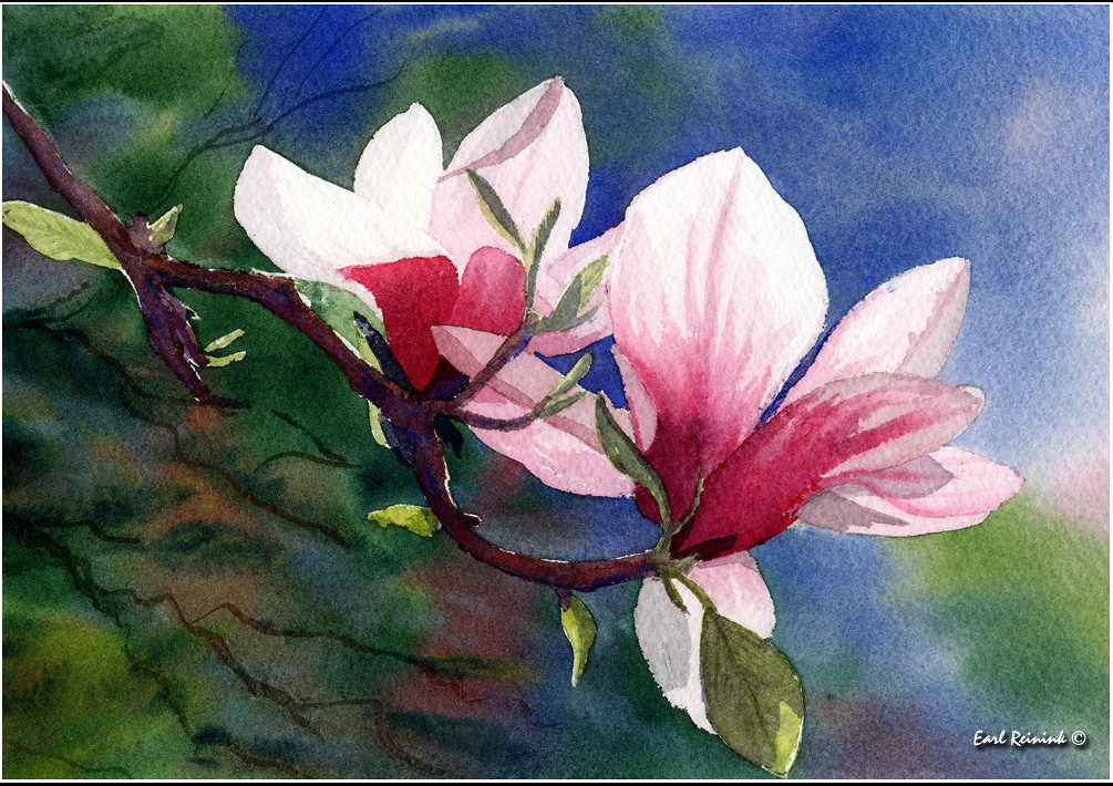 MAGNOLIA FLOWER PAINTINGS