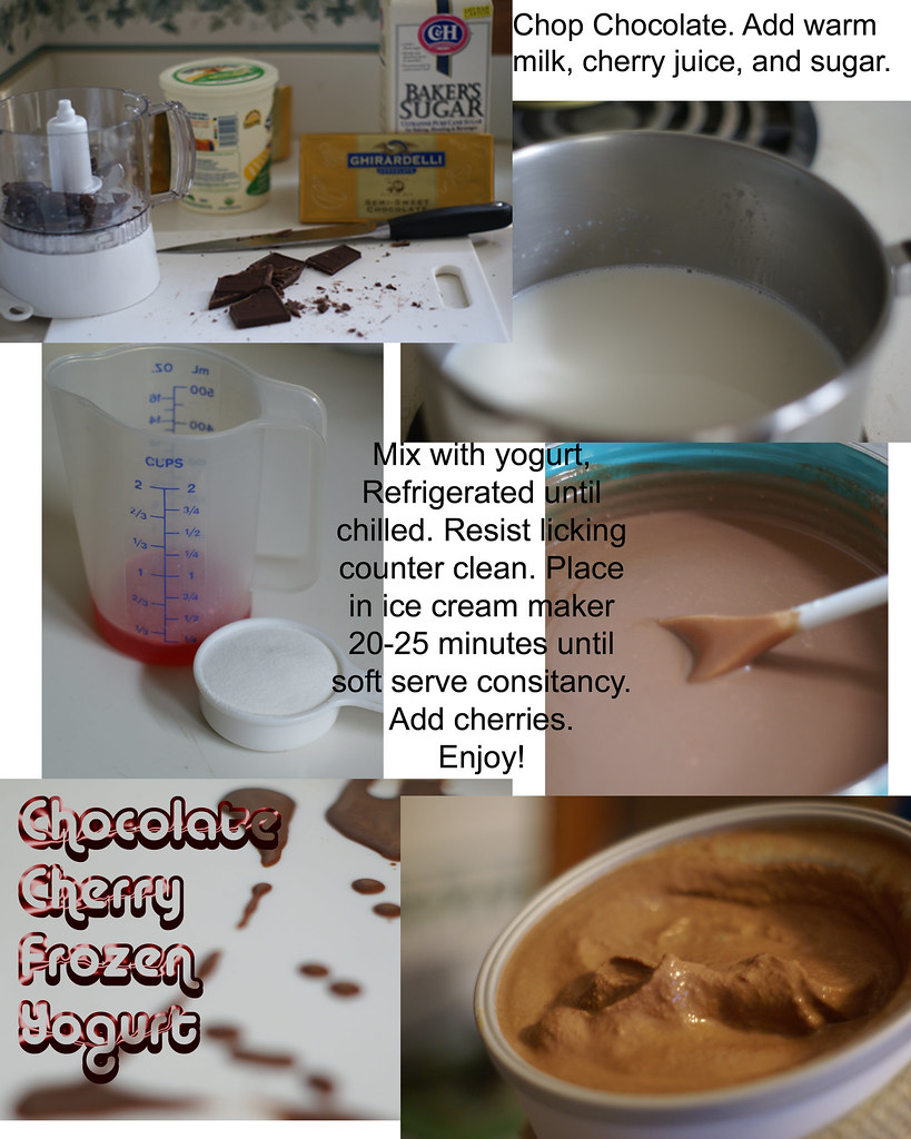 Braums Nutrition Information Frozen Yogurt Besto Blog