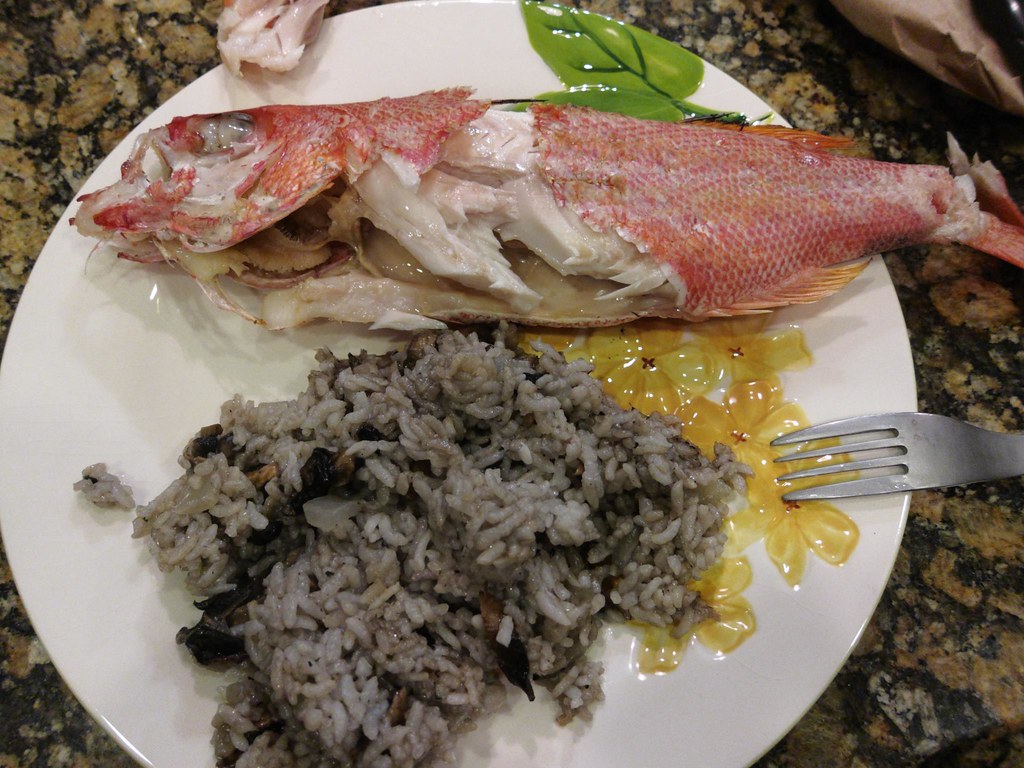 LOUISIANA FOOD STAMP APPLICATION LOUISIANA FOOD