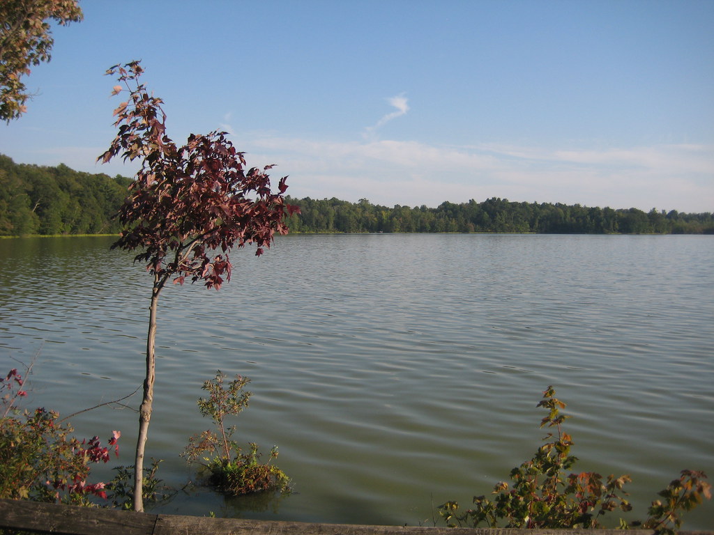 BEAVER LAKES HOCKEY LEAGUE