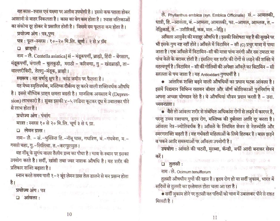 A note on medicinal plants and its use in day to day life Positive Bunch