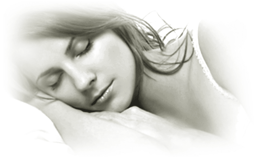 Erek Erek 3D Ikan Ketoprak dalam Buku Mimpi Togel