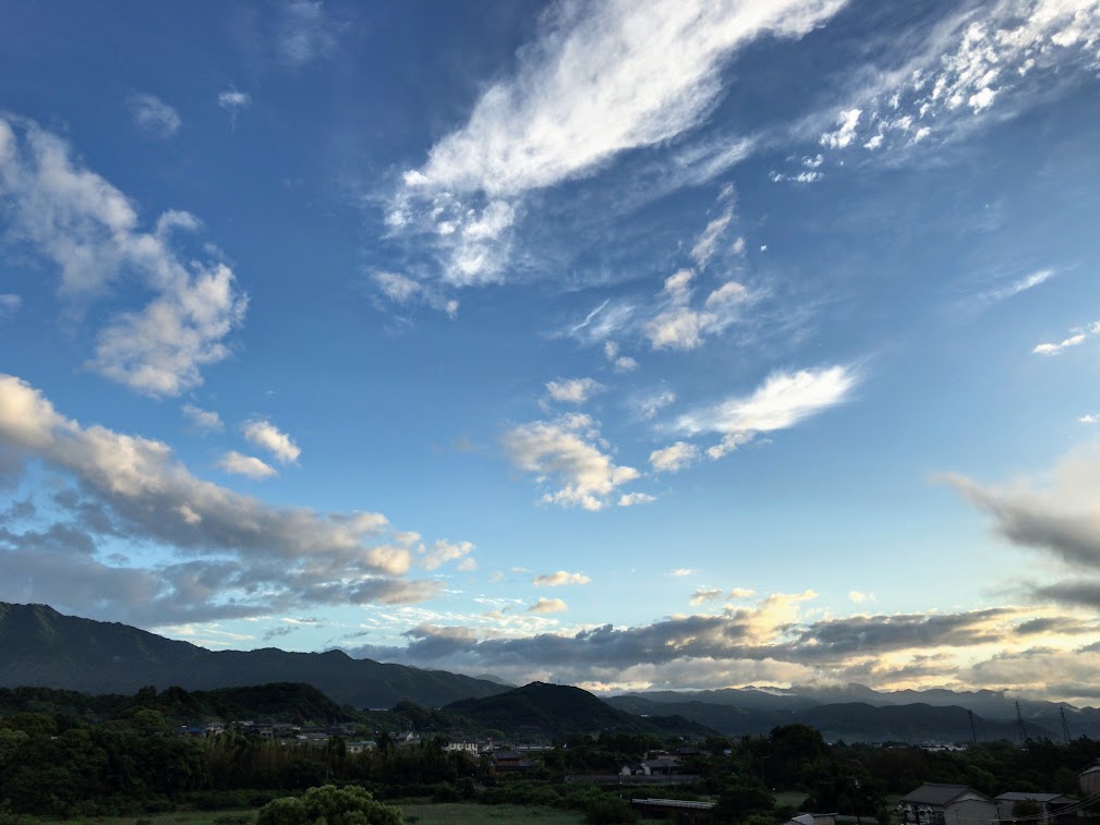 梅雨入りからの