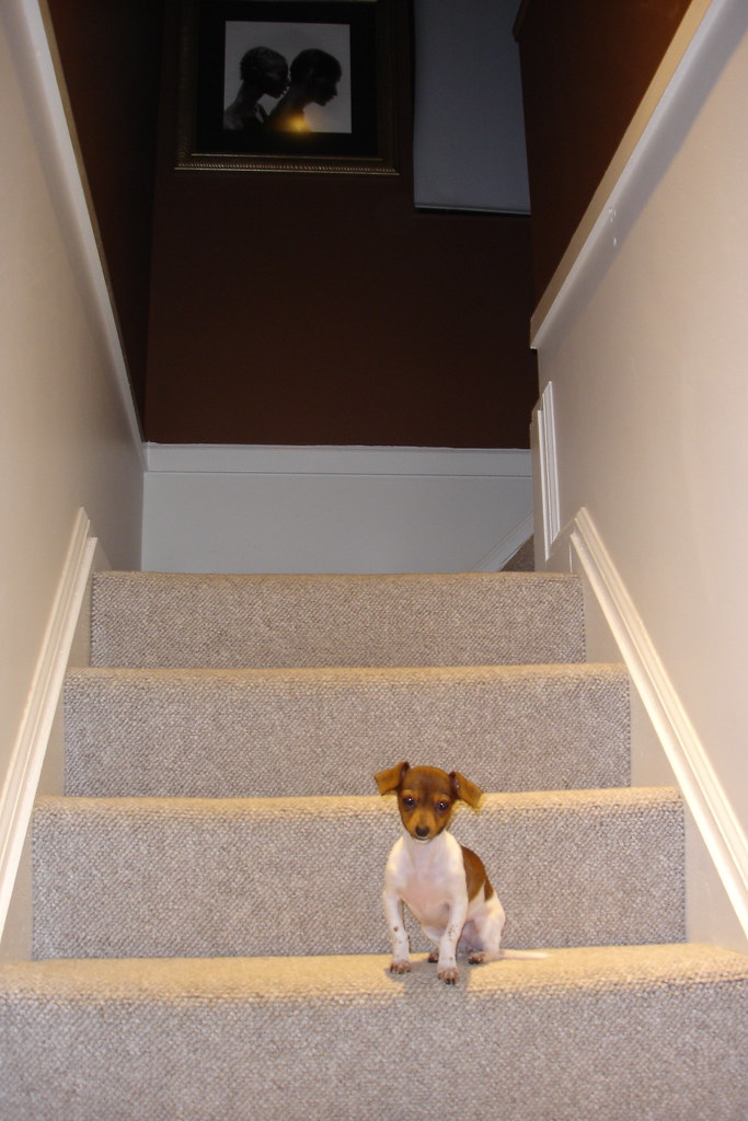Berber Carpet For Stairs