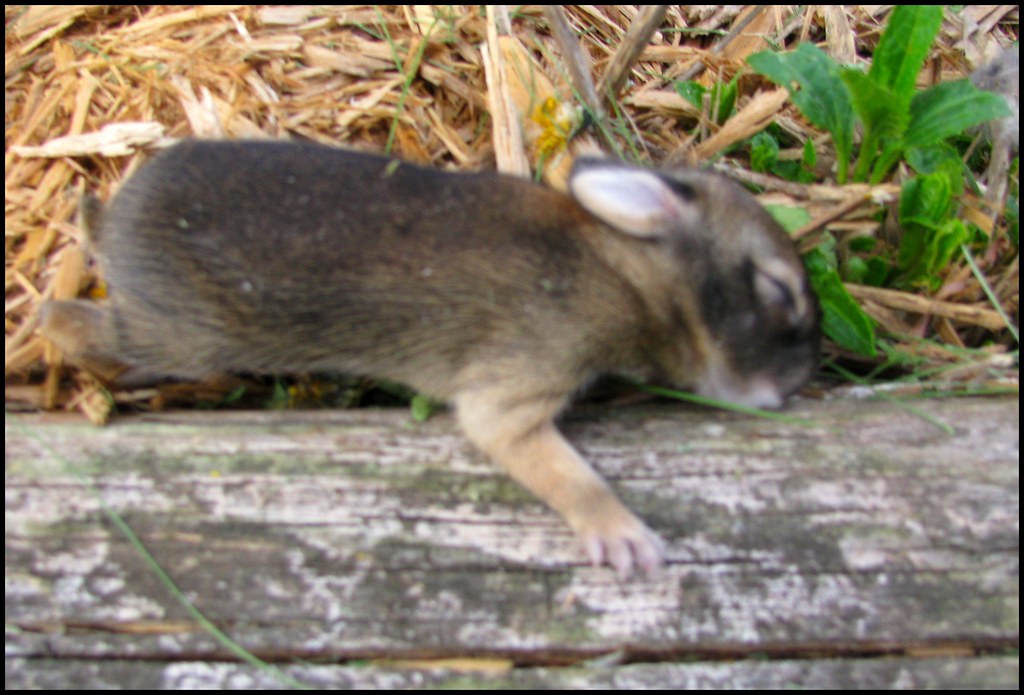 BABY FEEDING INFORMATION FEEDING INFORMATION 9 MONTHS OLD BABY