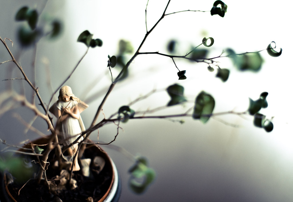 PLANTING FLOWERS FOR DUMMIES PLANTING FLOWERS AUTUMN WEDDING BOUQUETS PICTURES