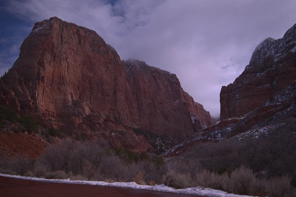 ZION OIL AND GAS STOCK AND GAS STOCK ABBOTT LABS STOCK PRICE