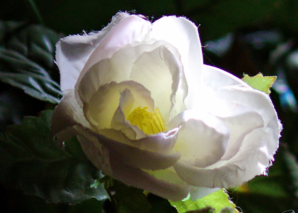 ARTIFICIAL FLOWERS BRISBANE