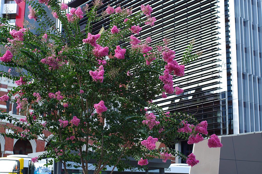 ARTIFICIAL FLOWERS BRISBANE