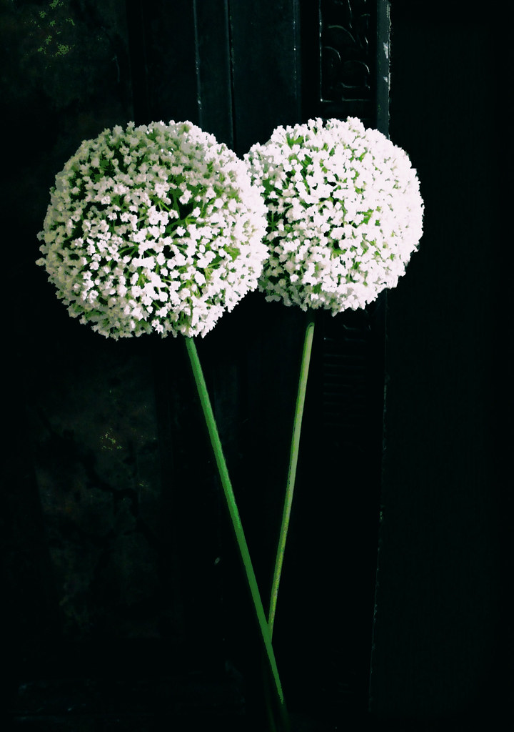 SIA ARTIFICIAL FLOWERS. SIA ARTIFICIAL Sia Artificial Flowers. Ftd Flower Delivery Company