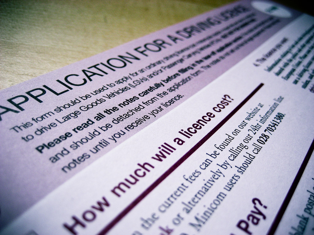 Application For Provisional Driving Licence APPLICATION FOR