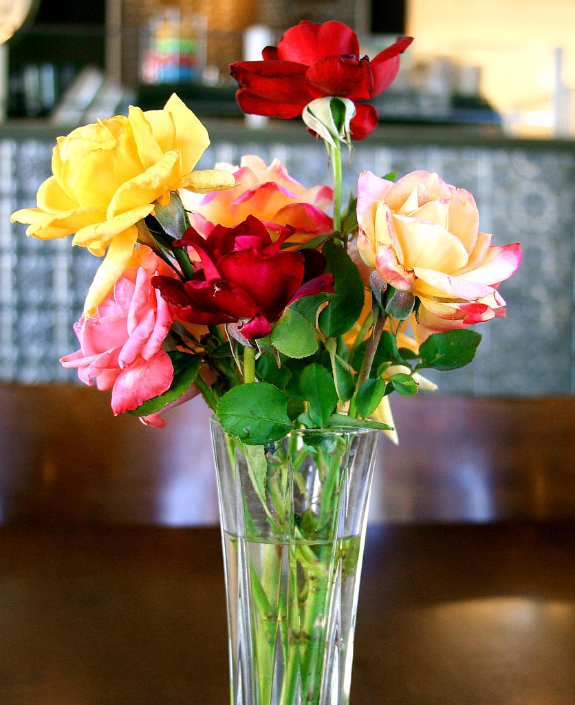 FLOWERS THAT LOOK LIKE ROSES DIFFERENT PICTURES OF FLOWERS