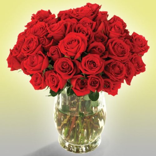 SEND FLOWERS NYC DIFFERENT TYPES OF FLOWERS WITH NAMES