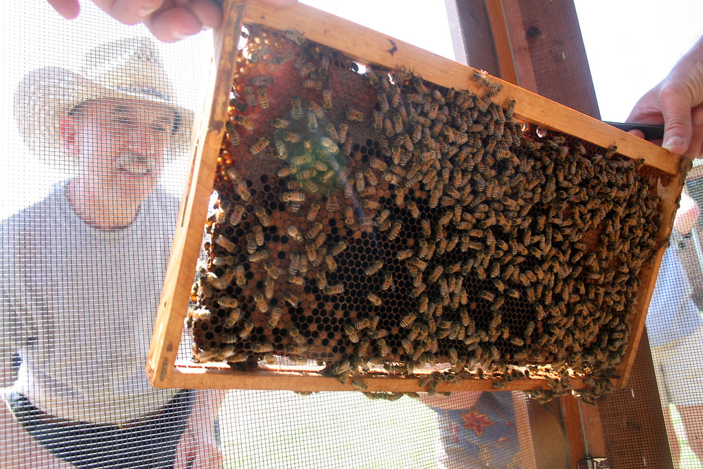 NATIONAL BEEKEEPERS ASSOCIATION