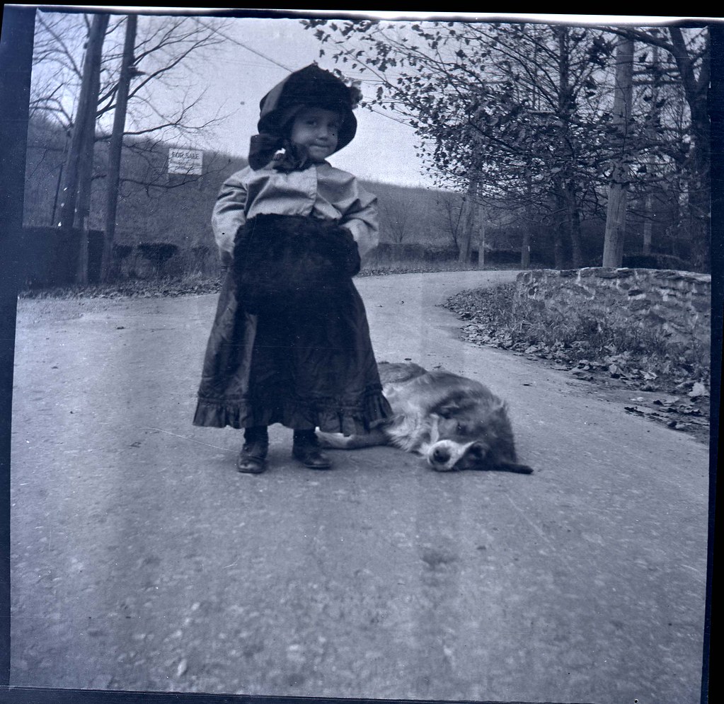 WHITE PAGES FOR PA WHITE PAGES FOR PA