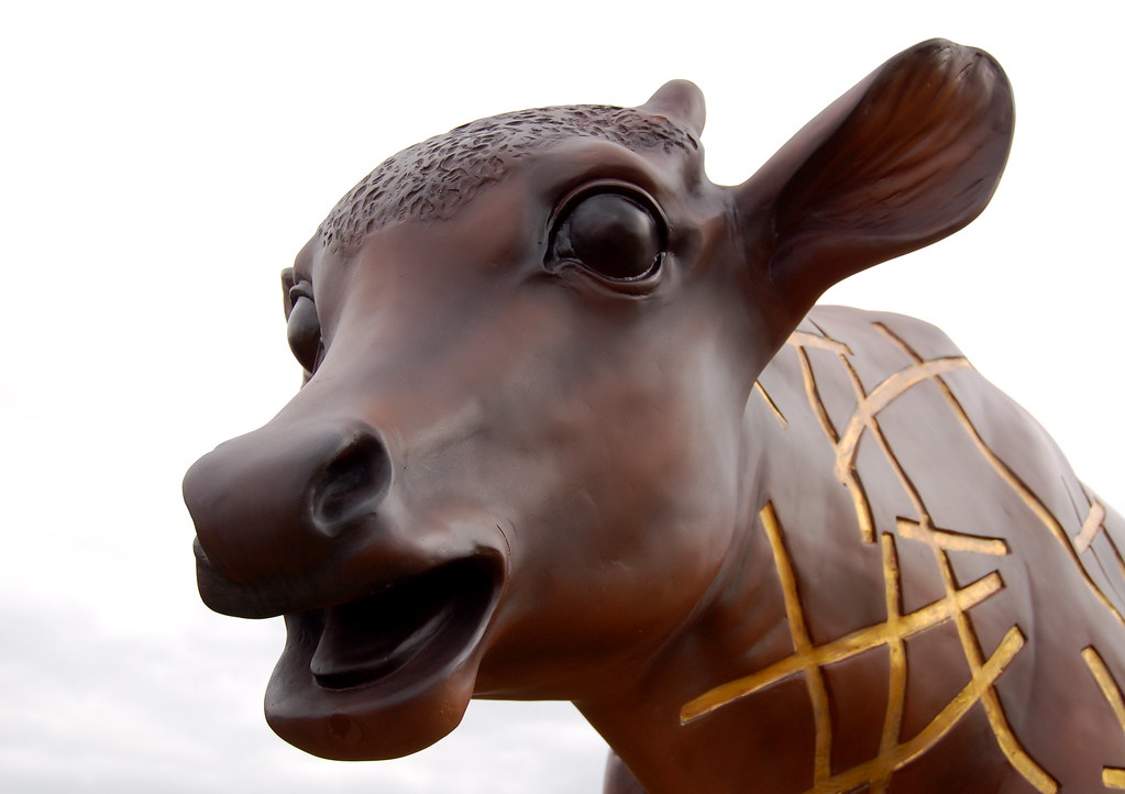 KETTERING BIKE SHOP KETTERING BIKE SHOP