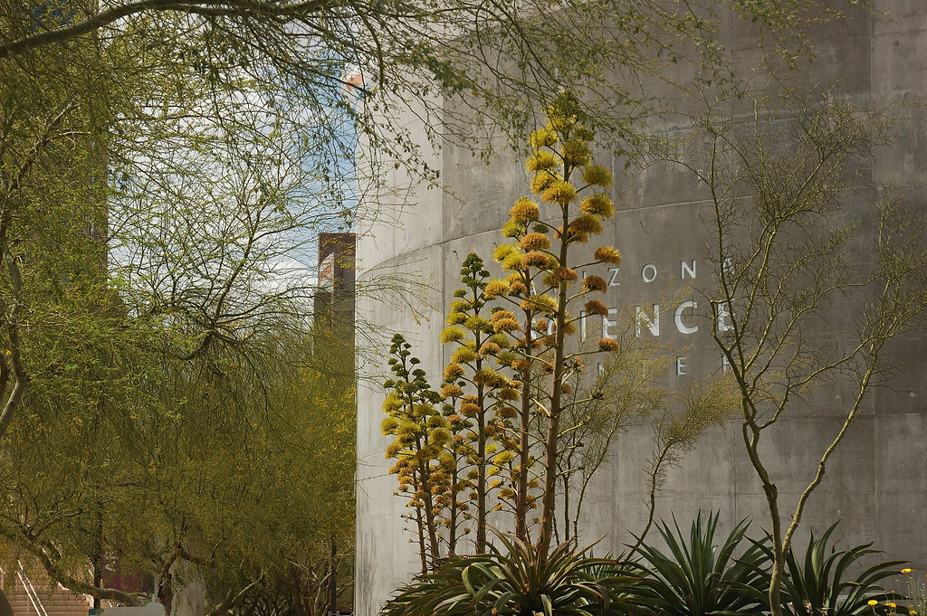 ARIZONA SCIENCE MUSEUM