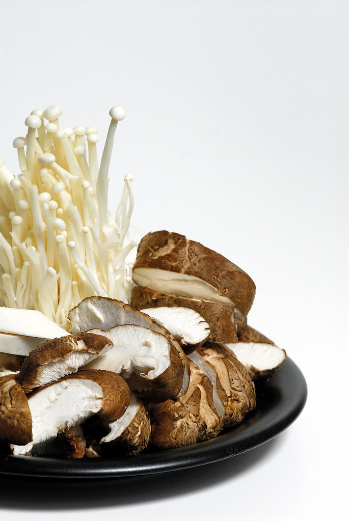 TYPES OF MUSHROOMS FOR COOKING MUSHROOMS FOR COOKING TYPES OF