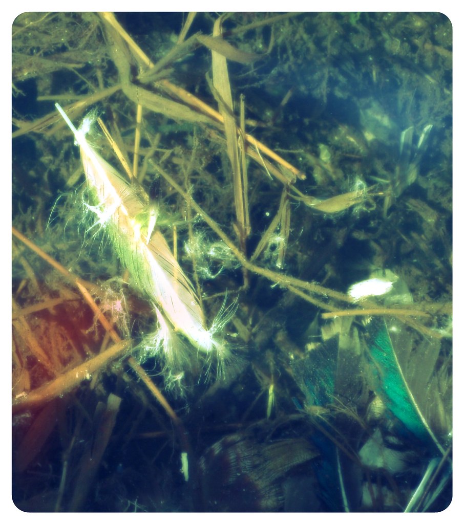 PIE CORBETT POEMS PIE CORBETT POEMS