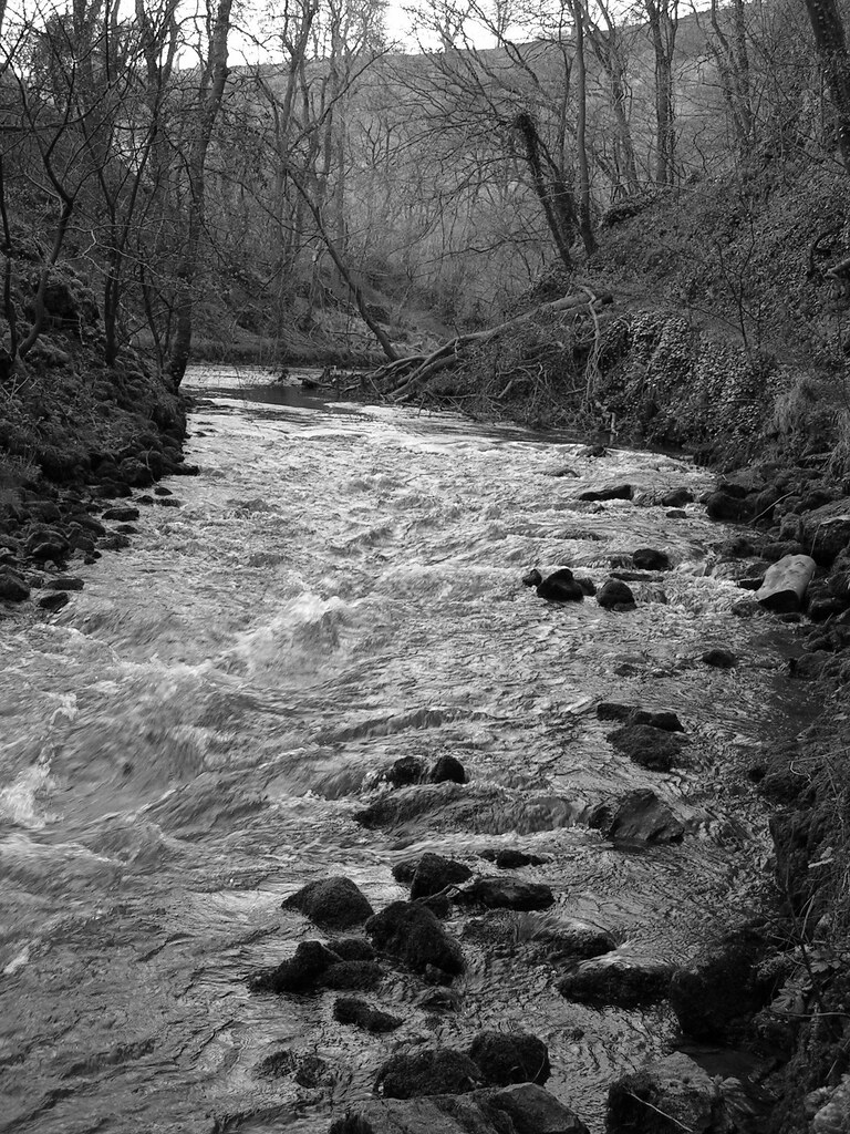 MILLER RIVERS CAULDER FUNERAL HOME OBITUARIES. FUNERAL HOME OBITUARIES