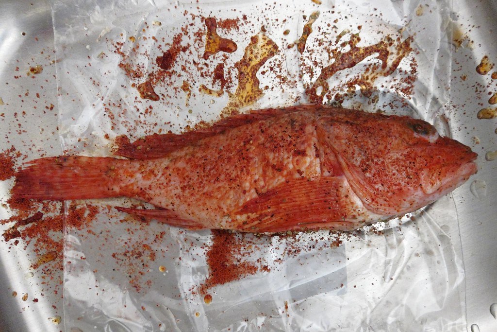 LOUISIANA FOOD STAMPS APPLICATION