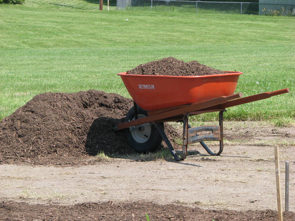 MICHAELS JOB APPLICATION