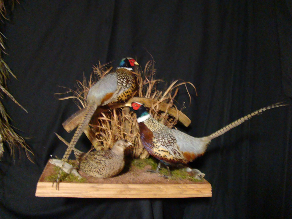 WAGON WHEELS FOR SALE WAGON WHEELS FOR SALE