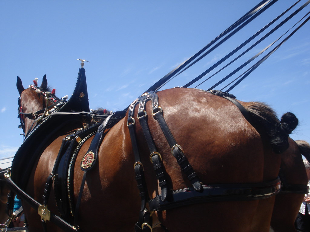 Gluten Free Beer Budweiser BILLY BEER VALUE