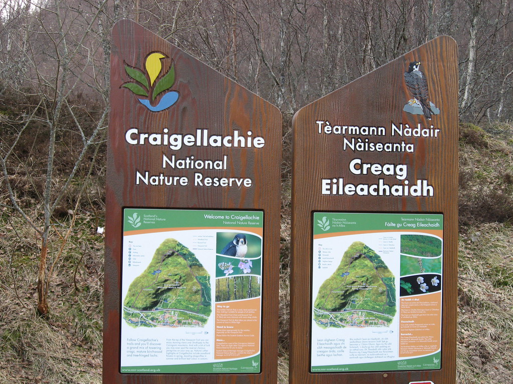 ROSETTA STONE GAELIC STONE GAELIC ROSETTA STONE GAELIC TORRENT