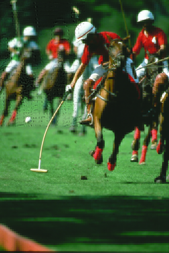 LA FITNESS OAK BROOK LA FITNESS OAK BROOK