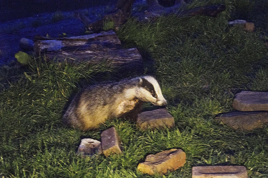 Badger Funeral Home Obituaries ANDERSON FUNERAL HOME RENFREW