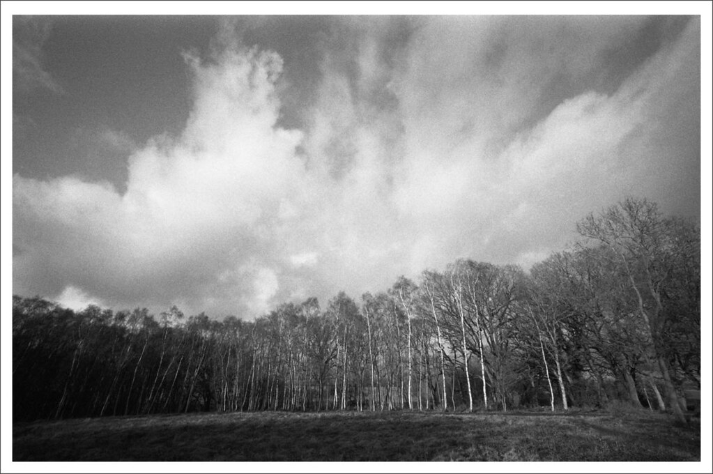 BAWDESWELL GARDEN CENTRE GARDEN CENTRE Bawdeswell Garden Centre