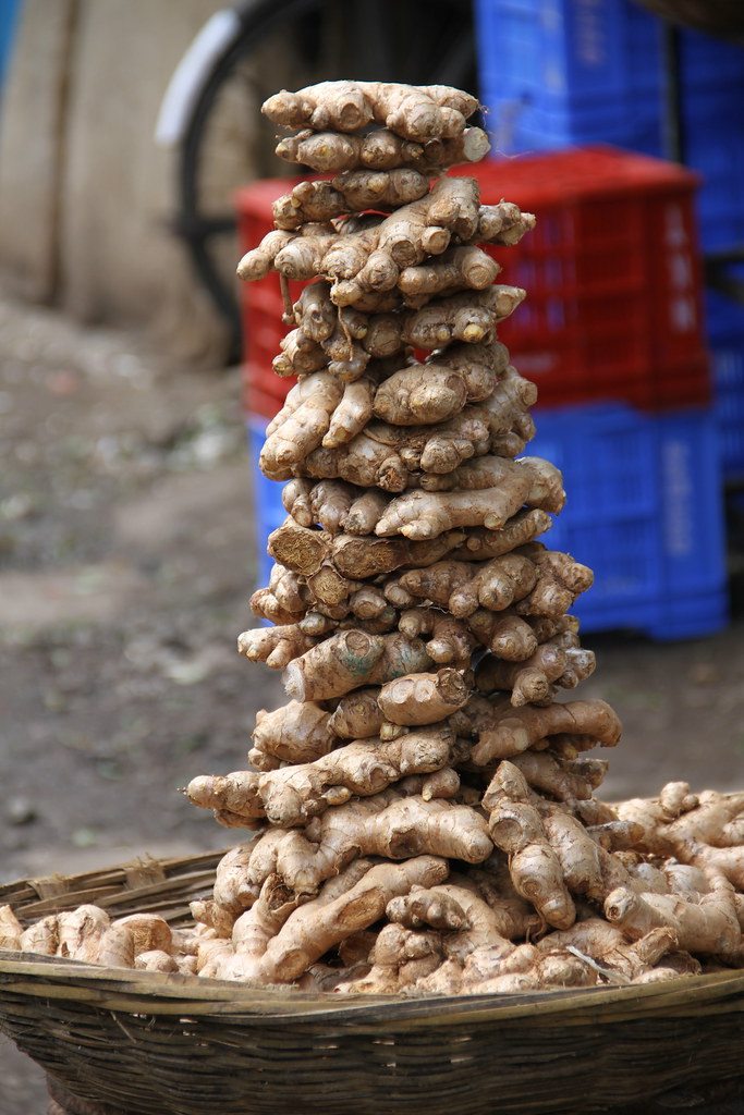 Ginger Beer Plant Recipe BEER BARREL SIZES
