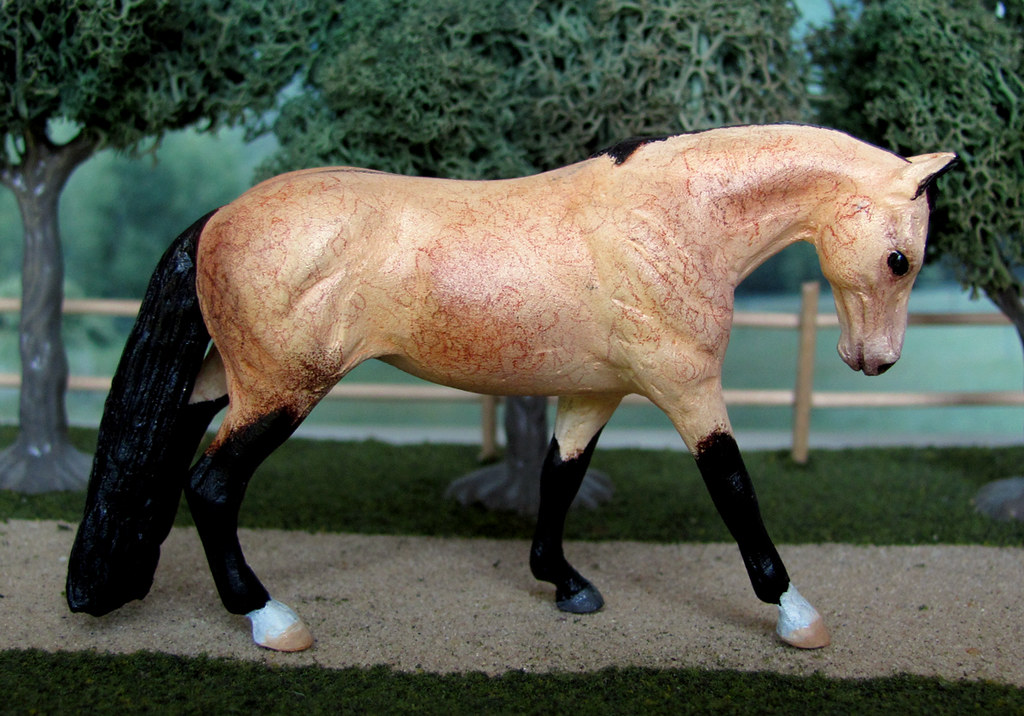 BUCKSKIN QUARTER HORSES FOR SALE BUCKSKIN QUARTER HORSES FOR SALE