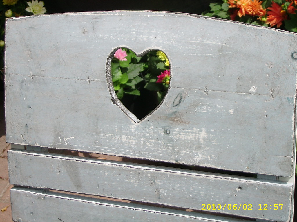 LITTLE EATON GARDEN CENTRE. LITTLE EATON Little eaton garden centre