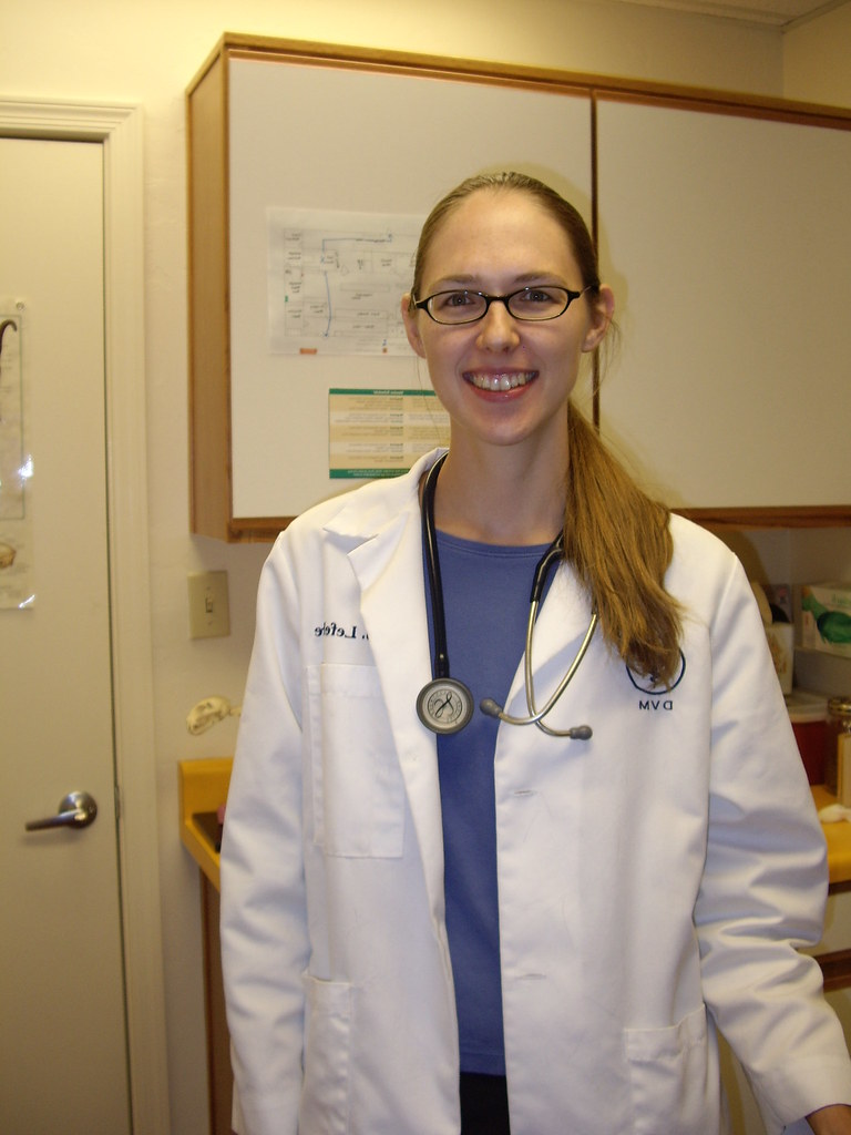 HOLISTIC DOCTORS IN MICHIGAN HOLISTIC DOCTORS IN MICHIGAN