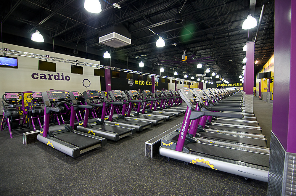 Fitness Sioux Falls DOG TREADMILL FOR SALE