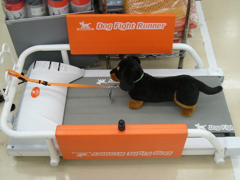 DOG TREADMILL FOR SALE