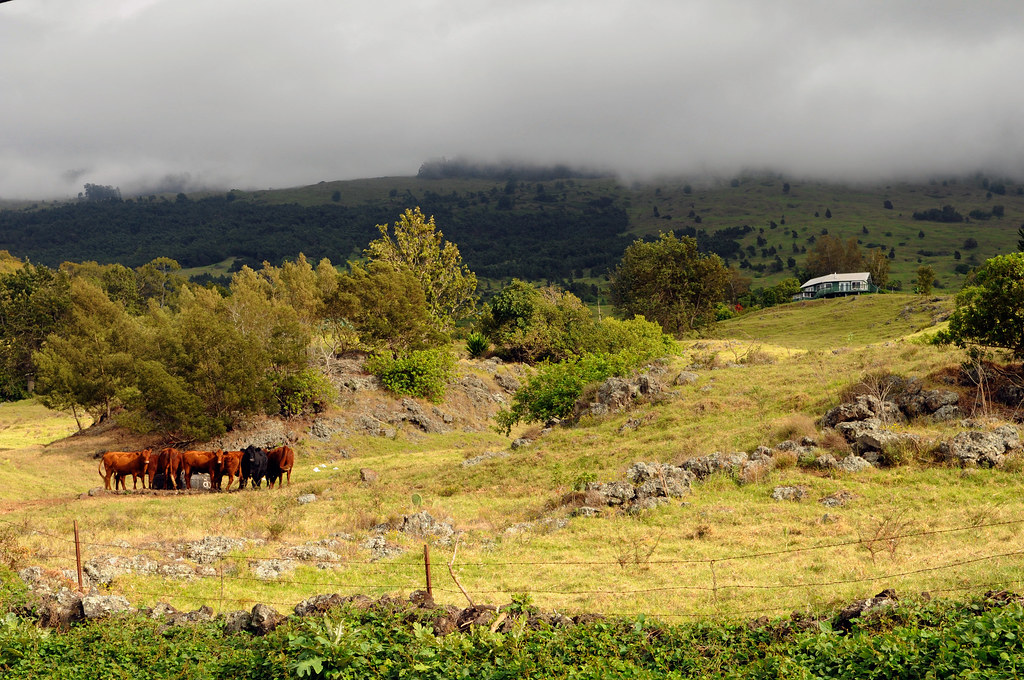 USED CARS FOR SALE ON OAHU USED CARS FOR SALE ON OAHU