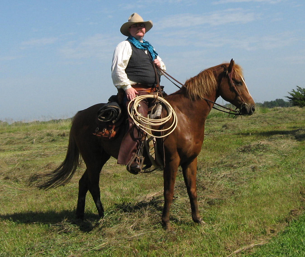 SADDLEBAGS FOR HORSES SADDLEBAGS FOR HORSES