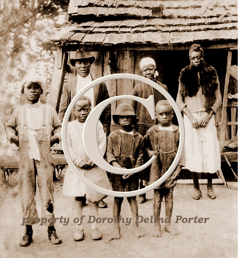 AMERICAN FAMILY FURNITURE WAREHOUSE AMERICAN FAMILY FURNITURE WAREHOUSE