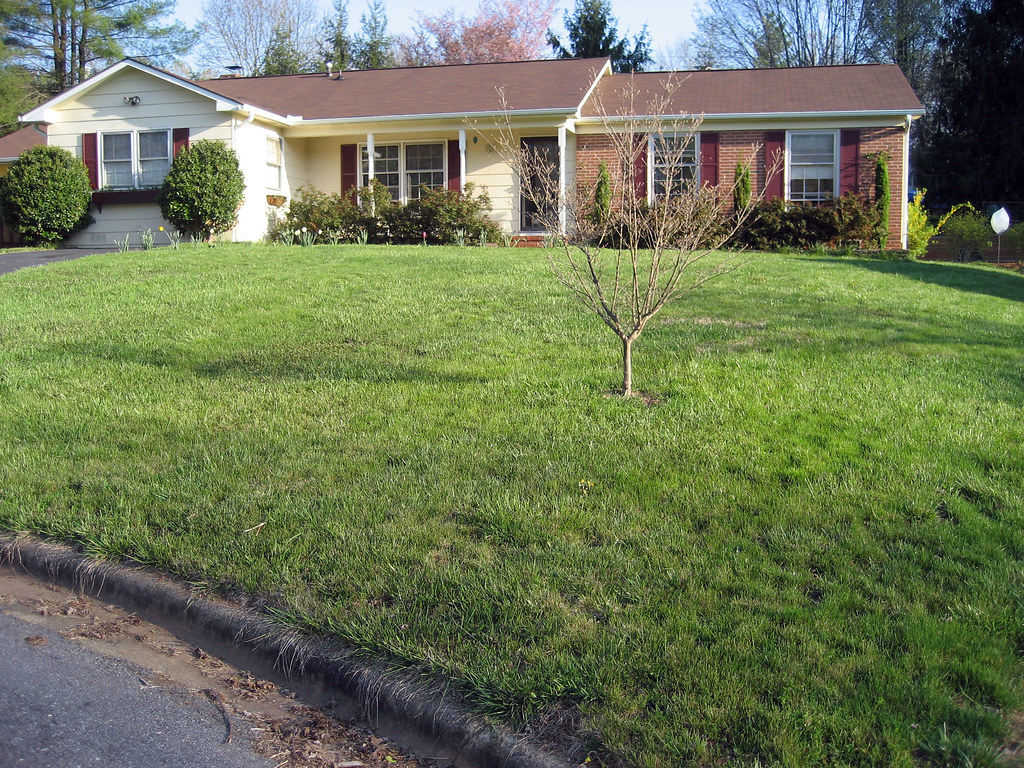 RESEEDING LAWN IN SPRING RESEEDING LAWN IN SPRING