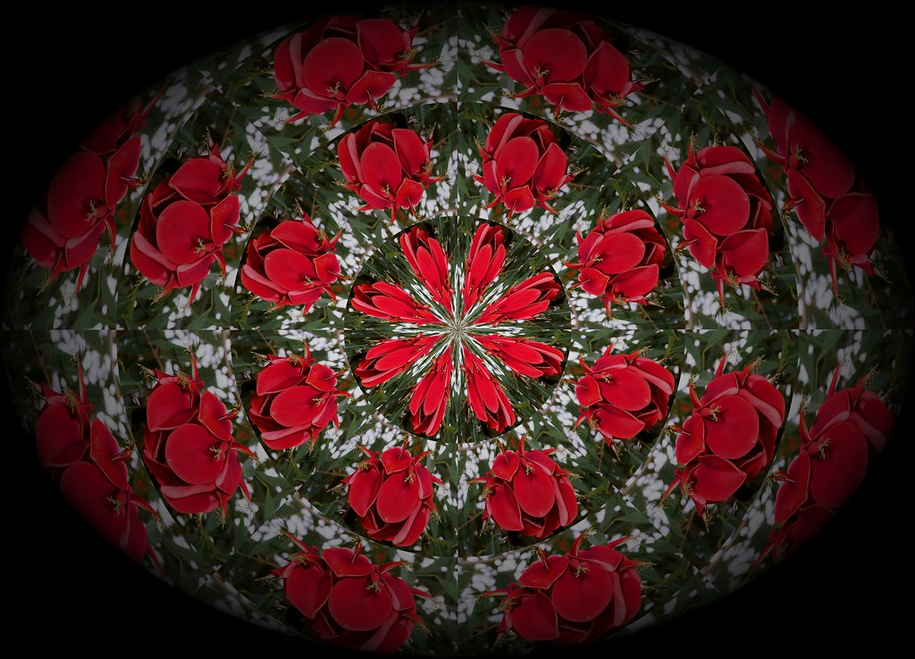 FREE PHOTO EDITOR SPECIAL EFFECTS EDITOR SPECIAL EFFECTS