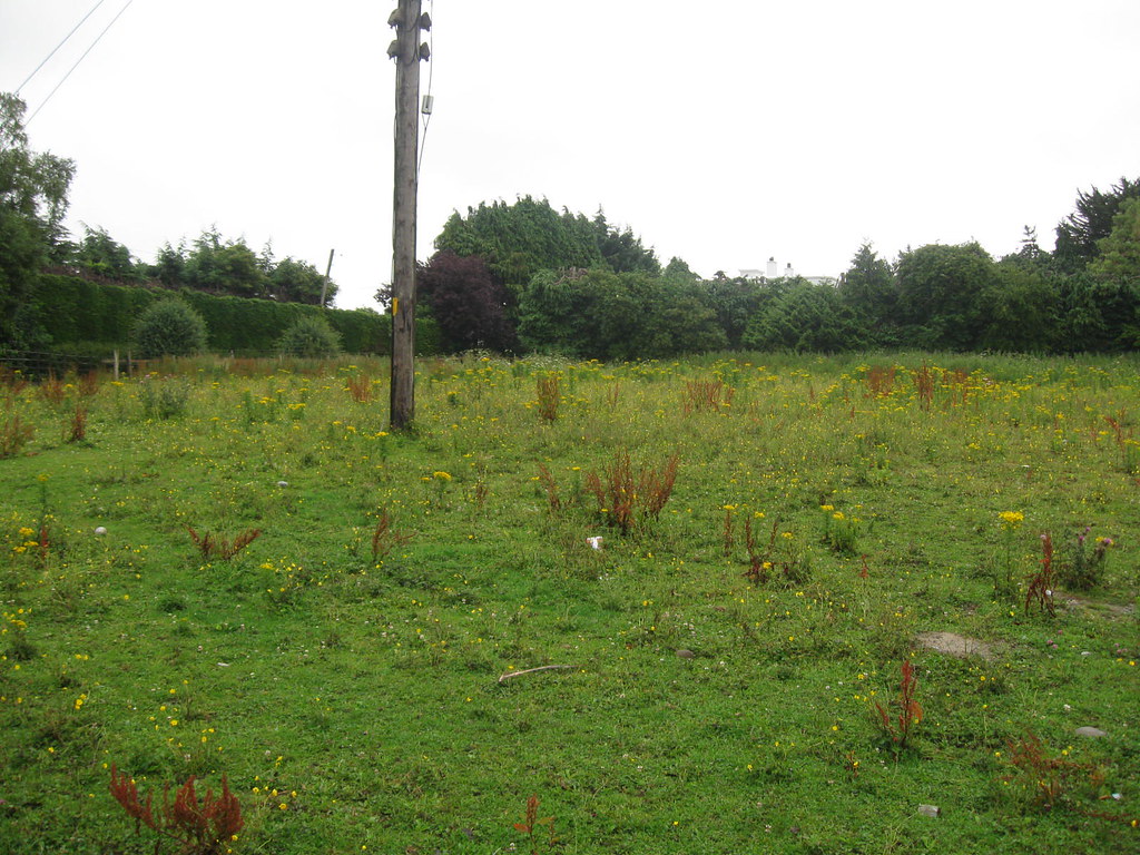 Area Code 467 AREA CODE 467