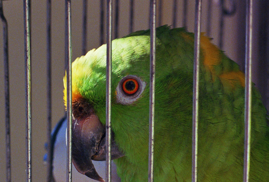 DELAWARE COUNTY PRISON INMATE SEARCH PRISON INMATE SEARCH Delaware