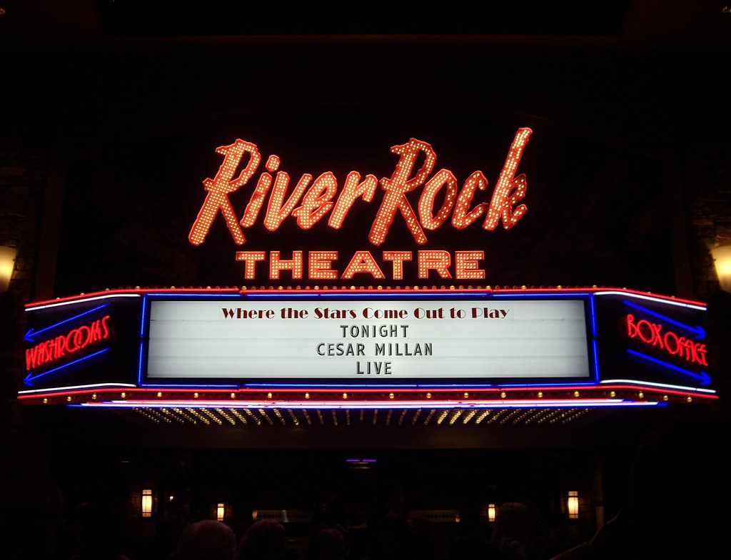 Cesar Millan Puppy Training ARMY TRAINING AND CERTIFICATION TRACKING