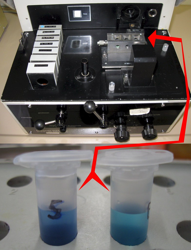 LOW PROTEIN IN BLOOD LOW PROTEIN IN BLOOD